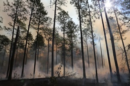 Camp Lejeune feels the burn