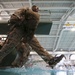 Bravo Company dives into swim qualification training