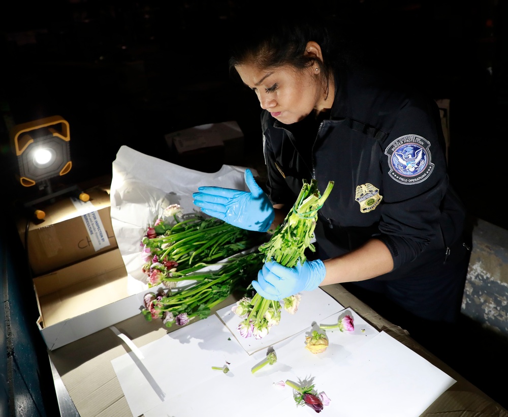 CBP Inspects Cut flowers at Dulles International Airport