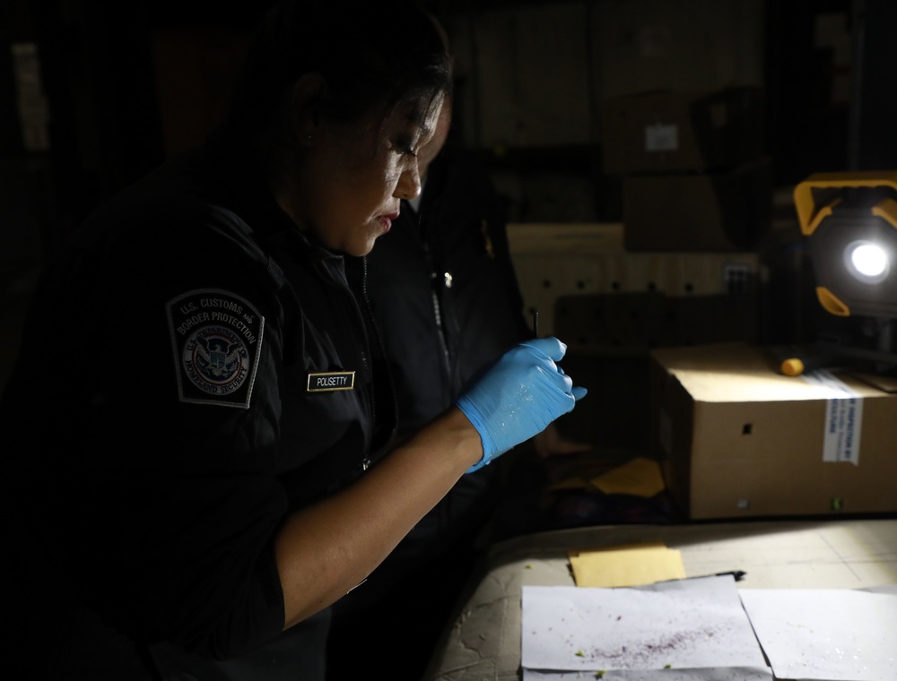 CBP Inspects Cut flowers at Dulles International Airport