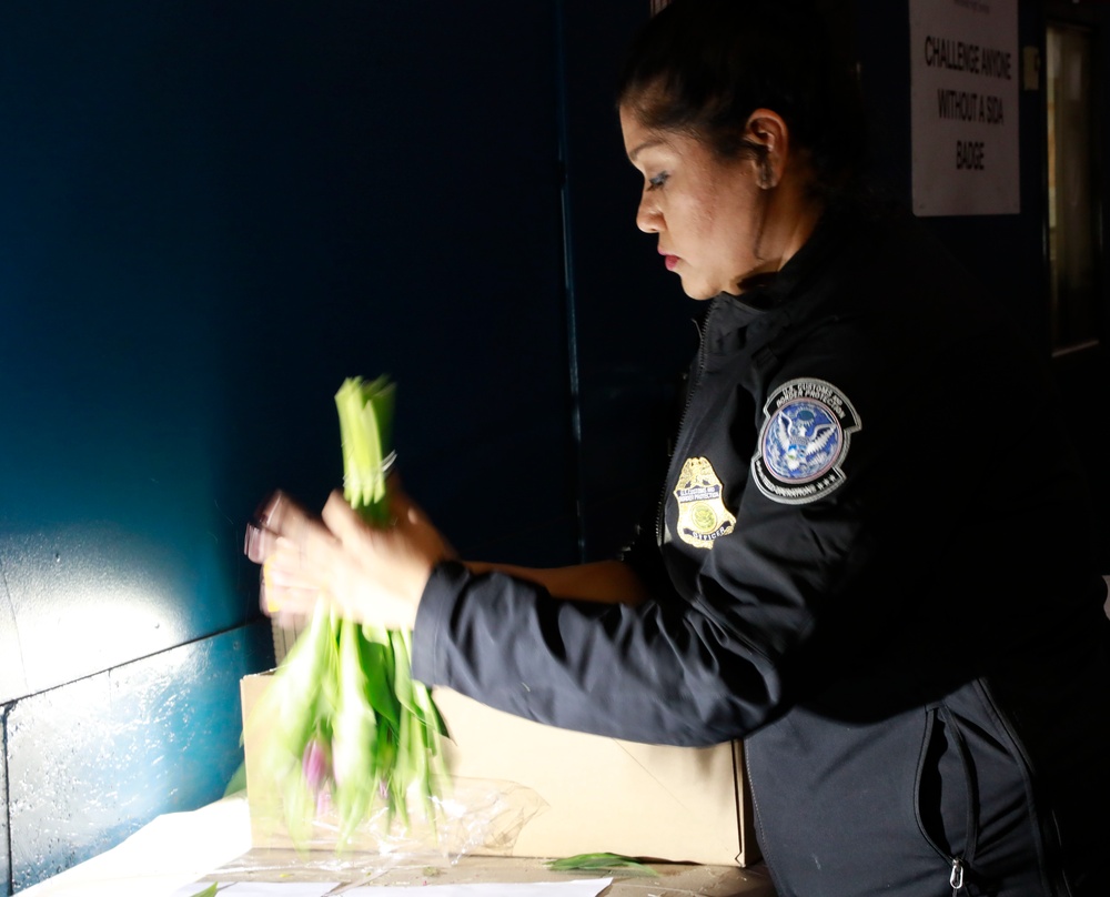 CBP Inspects Cut flowers at Dulles International Airport