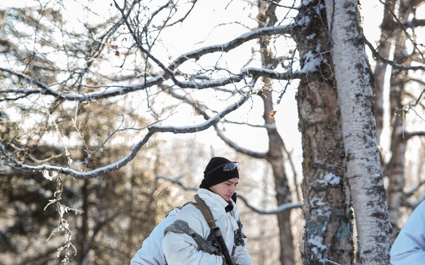 Spartans and Gimlets conduct cold weather training at JBER