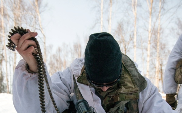 Spartans and Gimlets conduct cold weather training at JBER