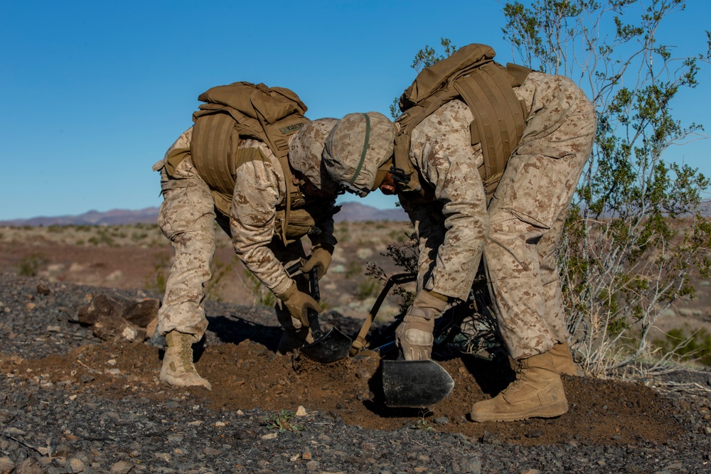 MAGTF-6: RAC Belleau Wood Fwd