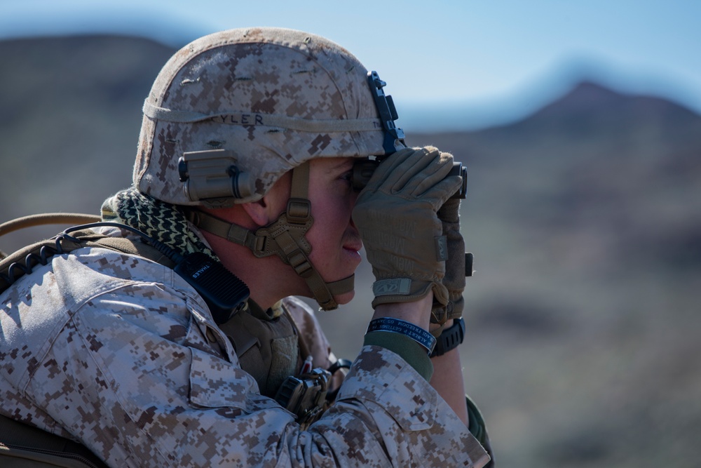 MAGTF-6: RAC Belleau Wood Fwd