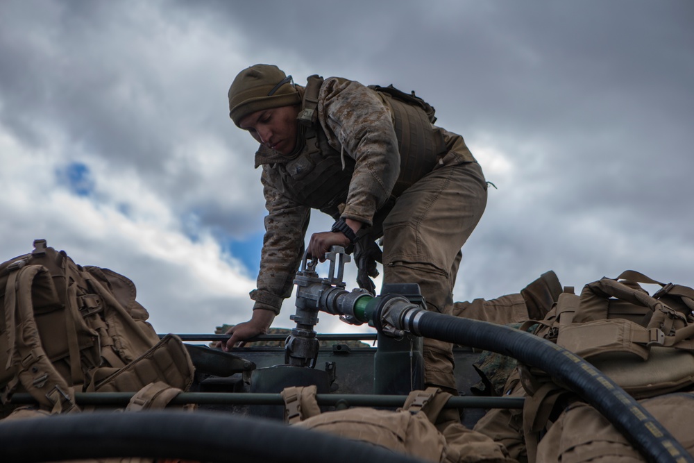 1/7 Back for Revenge