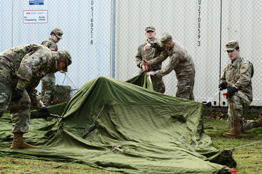 Westie Avalanche Exercise 2019