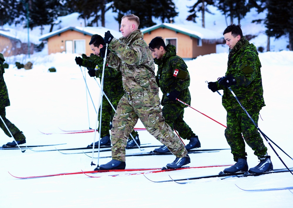 Westie Avalanche Exercise 2019