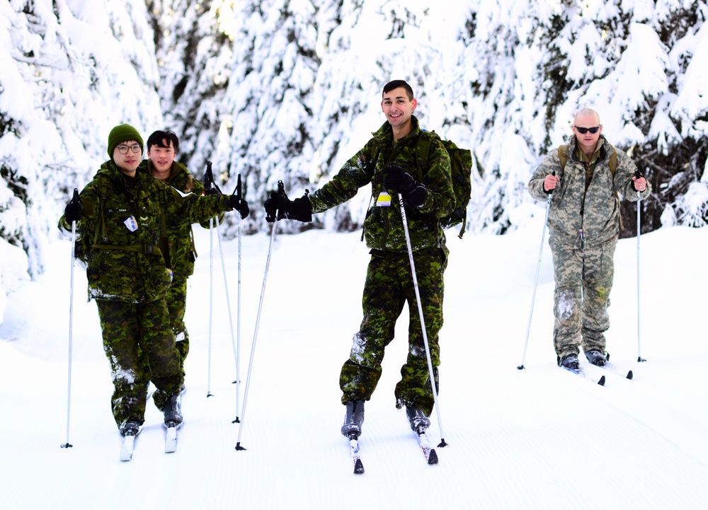 Westie Avalanche Exercise 2019