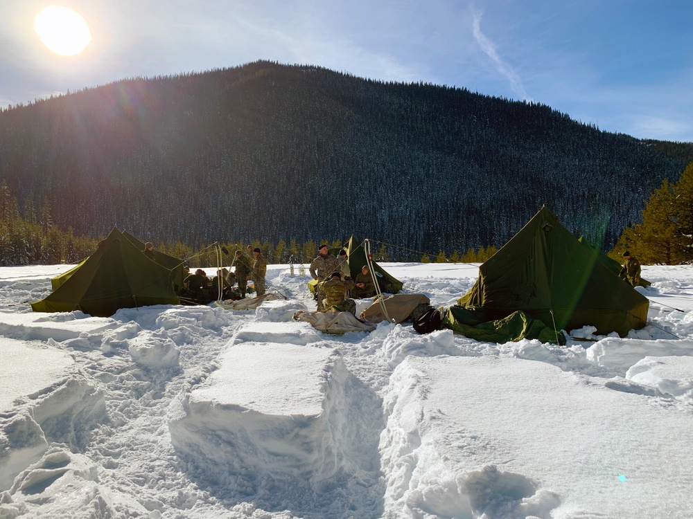 Westie Avalanche Exercise 2019