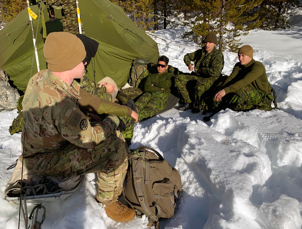 Westie Avalanche Exercise 2019