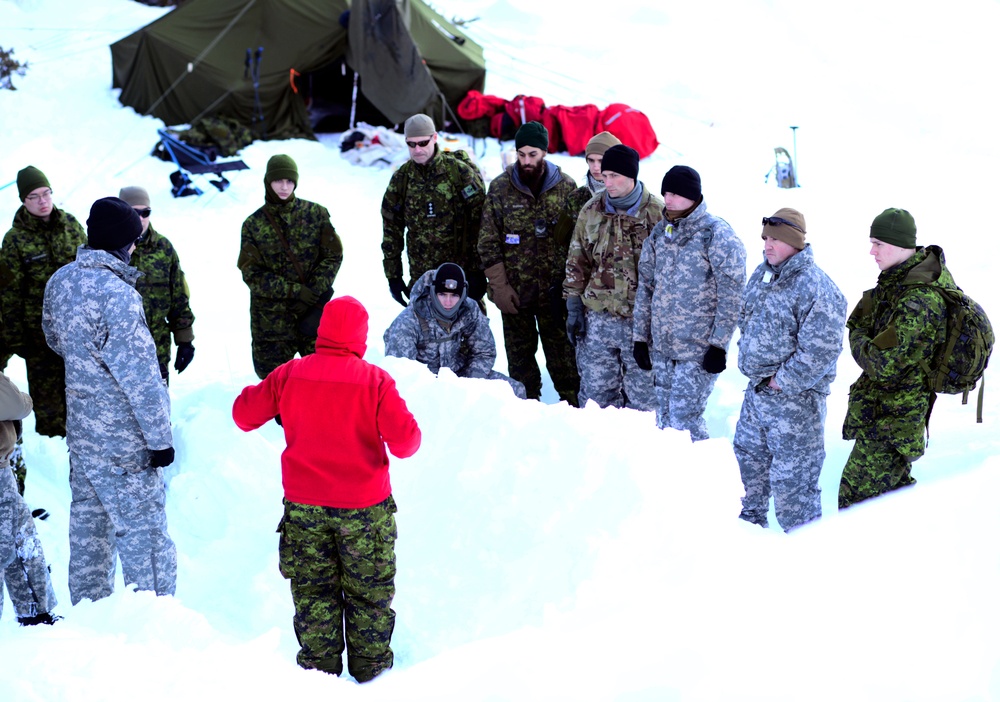 Westie Avalanche Exercise 2019