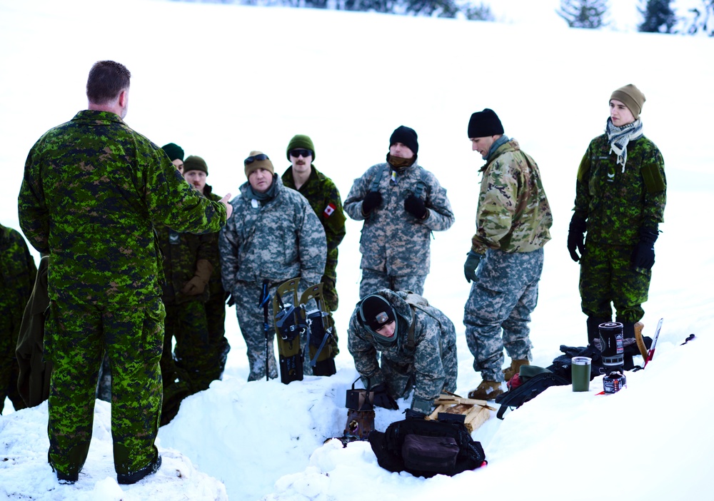 Westie Avalanche Exercise 2019