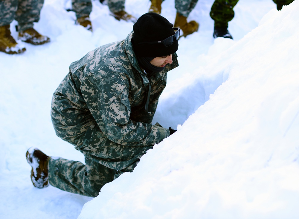 Westie Avalanche Exercise 2019