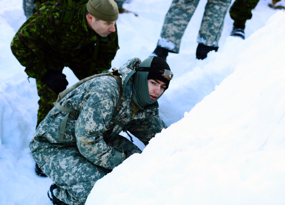 Westie Avalanche Exercise 2019