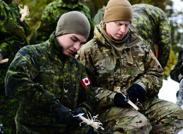 Westie Avalanche Exercise 2019