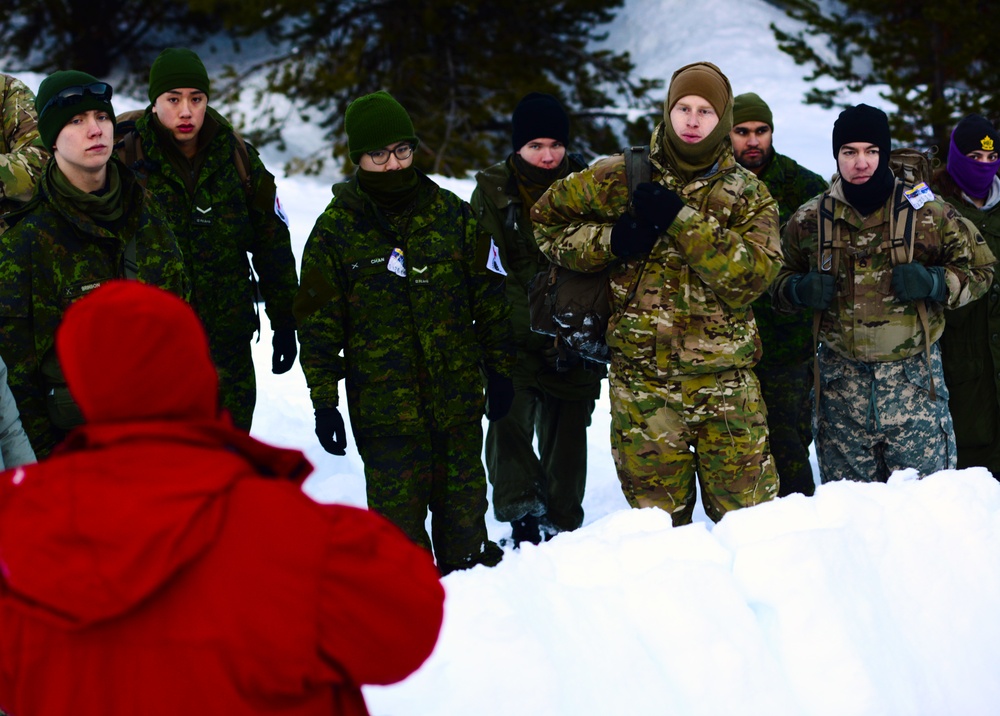 Westie Avalanche Exercise 2019