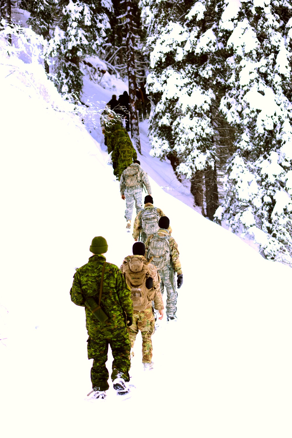 Westie Avalanche Exercise 2019