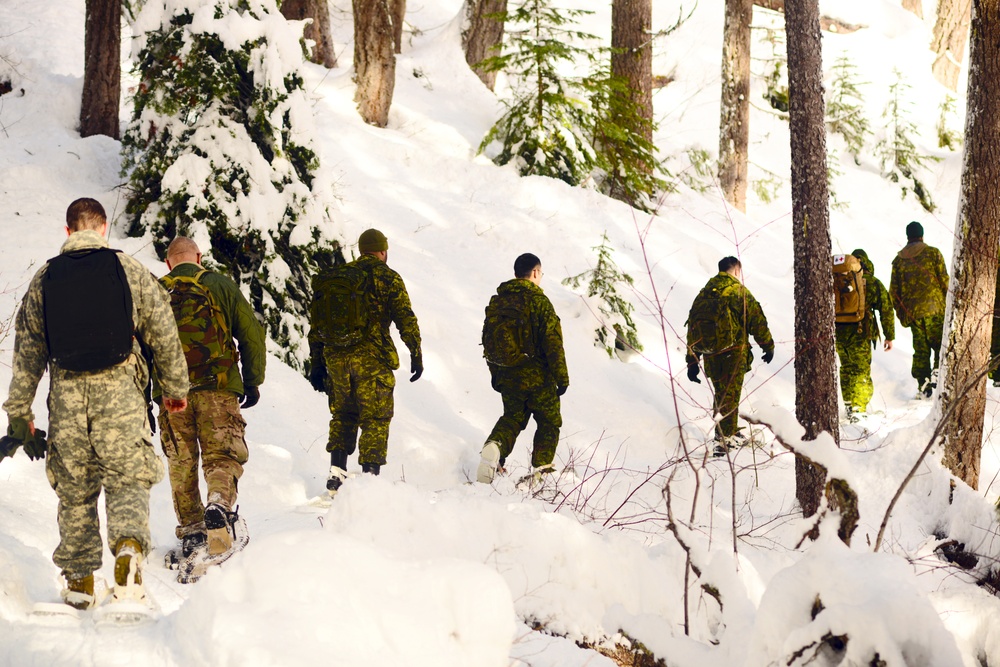 Westie Avalanche Exercise 2019