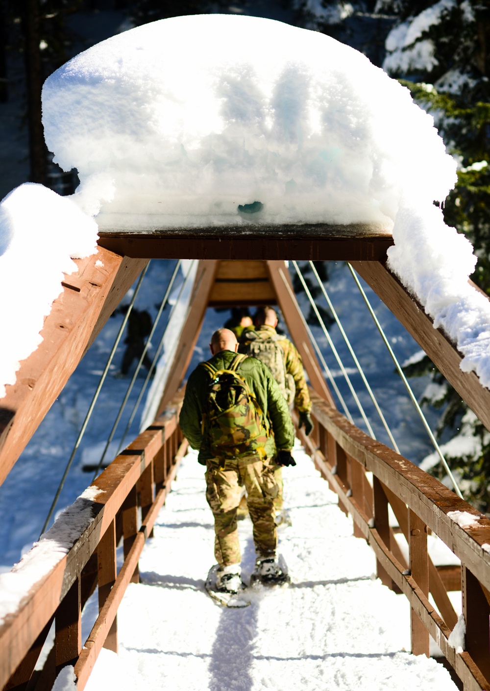 Westie Avalanche Exercise 2019