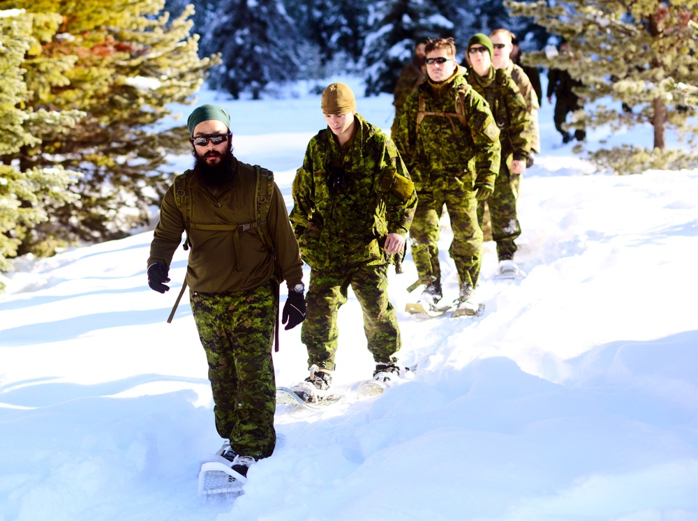 Westie Avalanche Exercise 2019