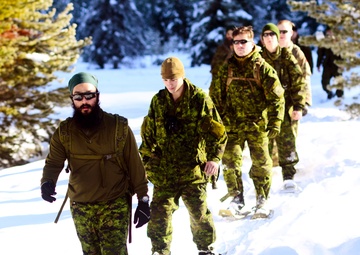 Westie Avalanche Exercise 2019