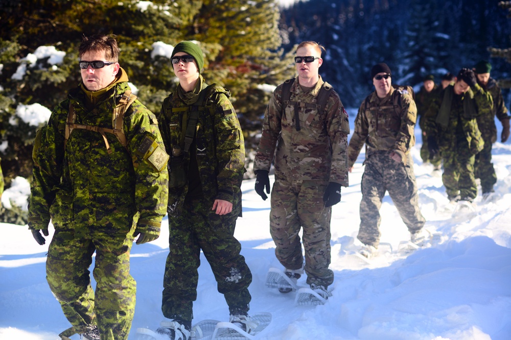 Westie Avalanche Exercise 2019