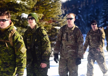 Westie Avalanche Exercise 2019