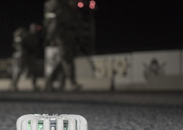 Soldiers Participate in 6-Mile Ruck March at the U.S. Army Air Assault School