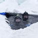 U.S. Navy Divers Conduct Unique Training under Camp Ripley’s Frozen Lakes