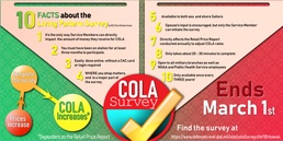 Ten Facts about the Living Pattern Survey