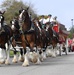 Budweiser Clydesdales entertain Airmen and families on Keesler