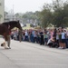Budweiser Clydesdales entertain Airmen and families on Keesler