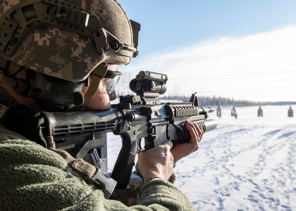 Combat arms training in the snow and ice