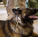 MAGTF-6: Air Bud