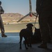 MAGTF-6: Air Bud