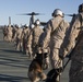 MAGTF-6: Air Bud