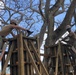 Seabees Support U.S. Coast Guard