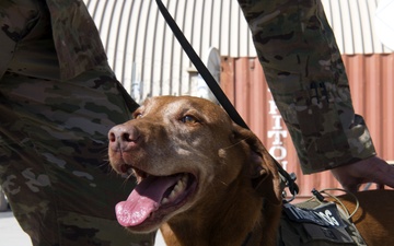 Army therapy dog visits maintenance Airmen