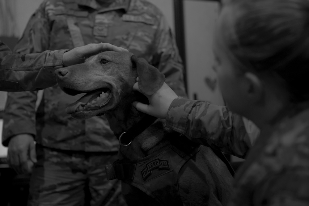 Army therapy dog visits maintenance Airmen
