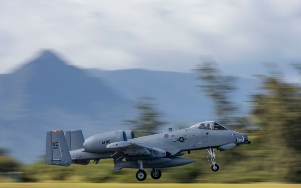 The Hogs have landed