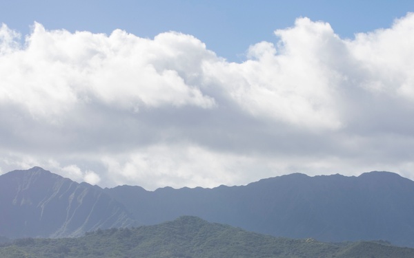 The Hogs have landed