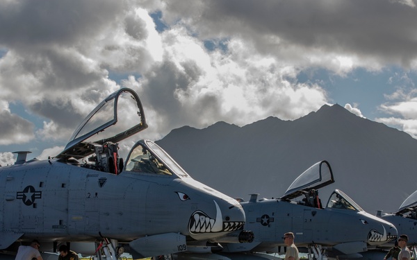 The Hogs have landed