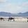 F35A Lightning II launches, Red Flag 19-1 F35A Lightning II launches, Red Flag 19-1