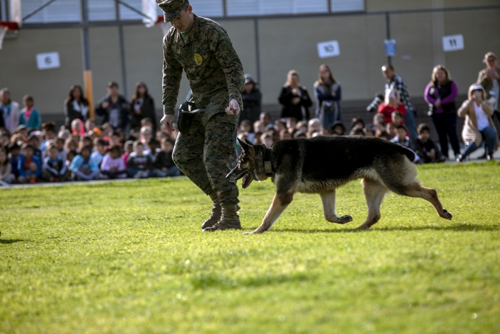 Letting the dogs out: MCAS Miramar brings K9 Unit to Dingeman Elementary School