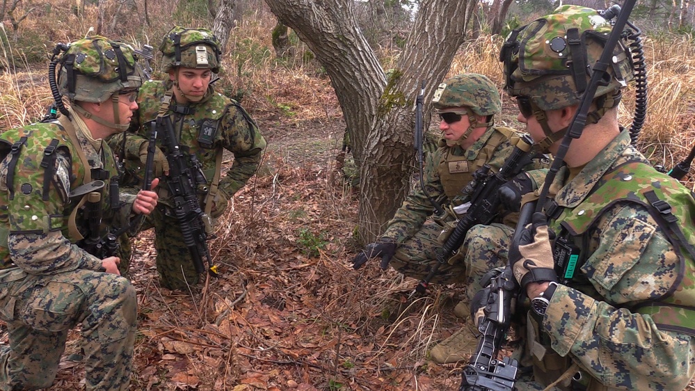 BLT 1/4 Marines conduct ambush operations