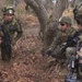 BLT 1/4 Marines conduct ambush operations