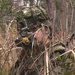 BLT 1/4 Marines conduct ambush operations