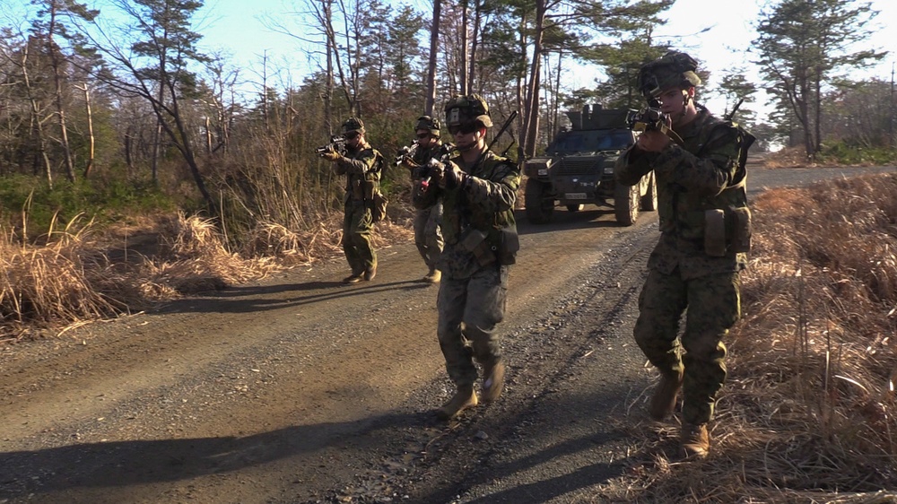 BLT 1/4 Marines conduct ambush operations