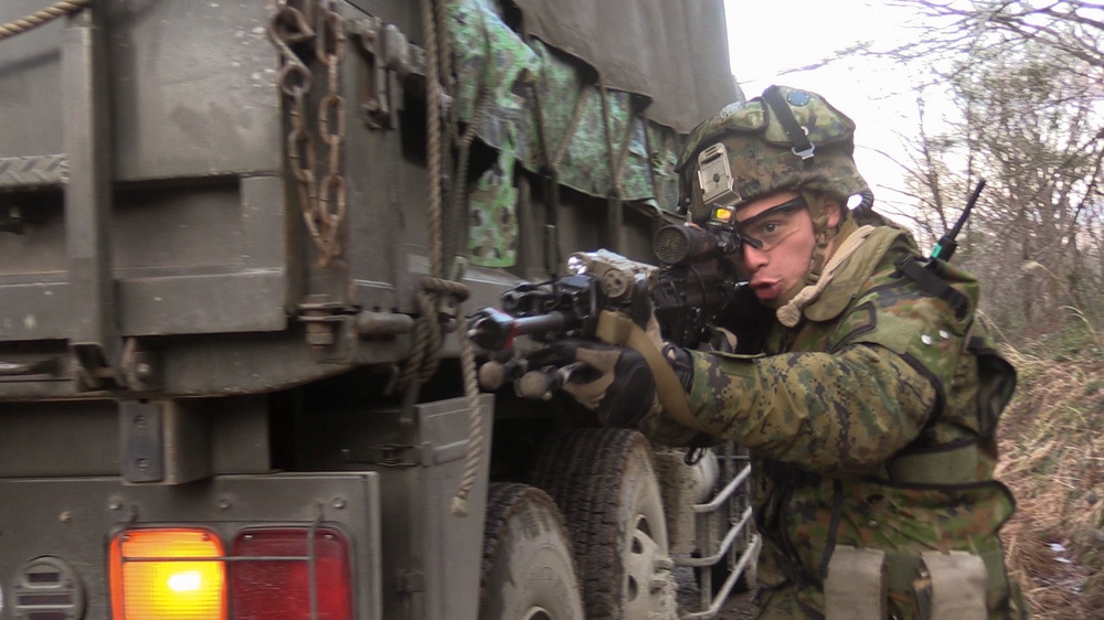 BLT 1/4 Marines conduct ambush operations